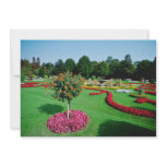 White Formal gardens, The Palmery, Vienna flowers Personalized Announcement