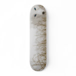 White Fox Skate Board