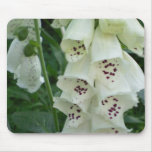 White Foxglove Flowers  Mouse Pad