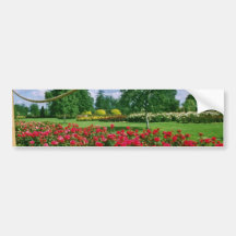 White Fragrant Cloud, St. Albans, England flowers Bumper Stickers