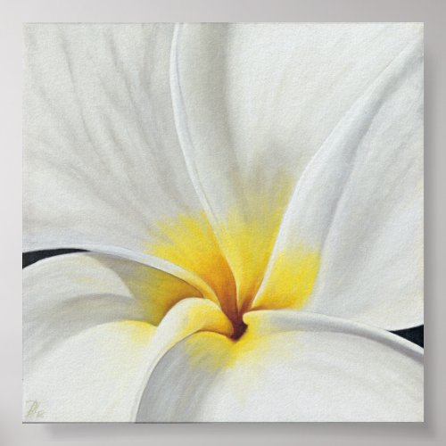 White Frangipani print