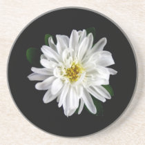 White Frills Coaster coasters