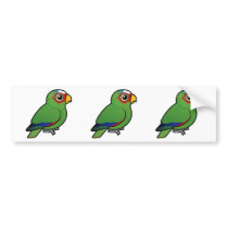 White-fronted Amazon Bumper Stickers