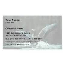 White-fronted Goose Landing on Water Business Card Templates