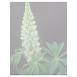 white Garden lupine, New Brunswick, Canada. flower Customized Letterhead