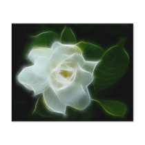 White Gardenia Flower Plant Flyer