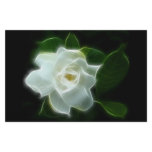 White Gardenia Flower Plant Customized Stationery