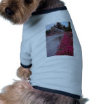 White Gardens of the Alcazar, Cordoba, Spain flowe Dog Clothing