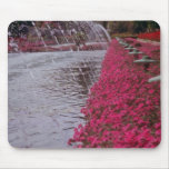White Gardens of the Alcazar, Cordoba, Spain flowe Mouse Pads