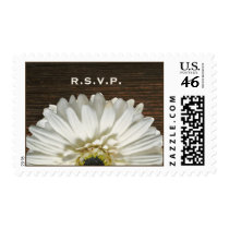 White Gerbera & Barnwood Rustic R.S.V.P. Stamps