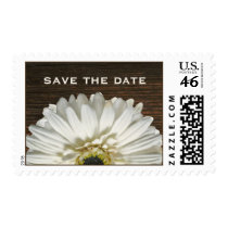 White Gerbera & Barnwood Rustic Save The Date Postage Stamp