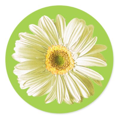 White Gerbera Daisy Flower Sticker