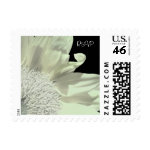 White Gerbera Flower Wedding Small Postage Stamp stamp