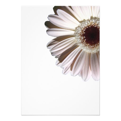 White Gerbera Wedding Daisy Invitations