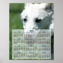 White German shepherd 2012 calendar poster