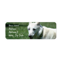 White German Shepherd Address Labels