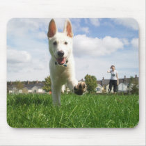 White German Shepherd at Play mousepads by Pirate_Kitsch White German Shepherd at Play mousepads