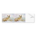 White German Shepherd bumper stickers
