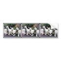 White+German+Shepherd bumper stickers