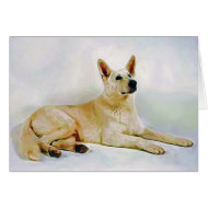 White German Shepherd card