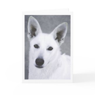 White German Shepherd Dog card