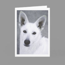 White German Shepherd Dog cards