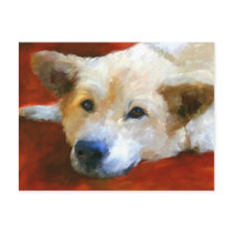 White German Shepherd Dog Postcard by jaisjewels White German Shepherd Dog Postcard
