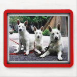 White+German+Shepherd Mouse Mat