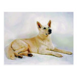 White German Shepherd Post Cards