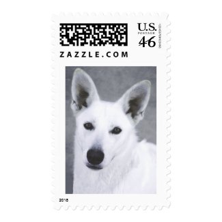 White German Shepherd stamp