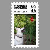 White German Shepherd postage stamp by coastalwgs White German Shepherd postage stamp