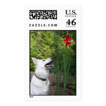 White German Shepherd postage stamp