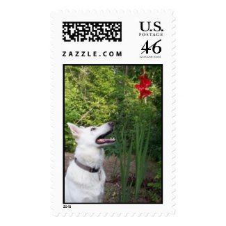 White German Shepherd postage stamp stamp