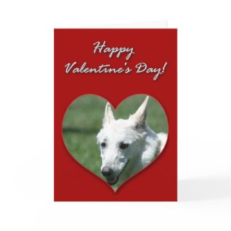 White German Shepherd Valentines Day Card card