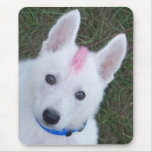 White German Shepherd w. Mohawk mousepads