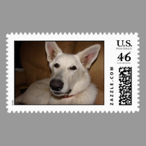 White German Shepherds postage