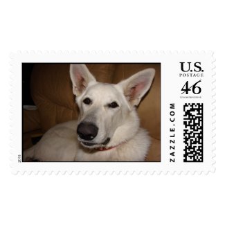 White German Shepherds stamp