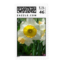 White & Gold stamps