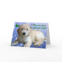 "White Golden Doodle Christmas" cards