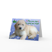 "White Golden Doodle Christmas" cards by cowboyannie "White Golden Doodle Christmas" cards