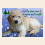 "White Golden Doodle Christmas" cards