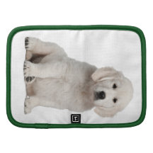 White Golden Retriever Photo Planner