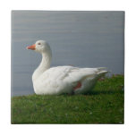 White Goose tiles