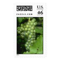 White Grapes postage