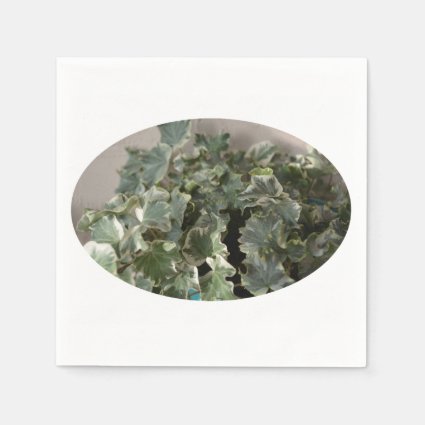 white green ivy pretty plant design disposable napkins