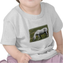 White / Grey Horse Tshirts