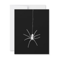 White Hanging Spider Invite