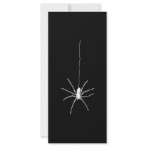 White Hanging Spider Full Color Rack Card