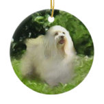 White Havanese on Porcelain Holiday Ornament
