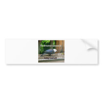 white-headed starling bumper sticker
